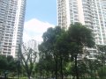 中远两湾城（一至四期）,中远两湾城租房950元/月