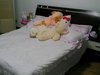 潍坊九村租房3500元/月
