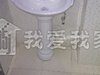 旭日爱上城租房1500元/月