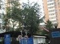 华远北街租房5500元/月