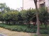 梅川一街坊租房1100元/月