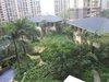 中海西岸华府租房800元/月