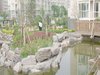 新龙城租房700元/月