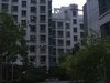 天兆家园租房800元/月