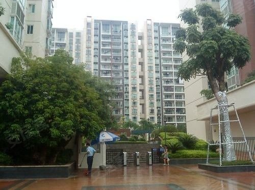 活力盈居,容桂租房,活力盈居 小区管理 环境优美