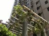 虹叶花苑租房800元/月