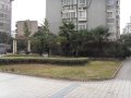 水榭华庭