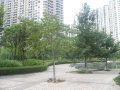 中远两湾城（一至四期）,中远两湾城租房1500元/月