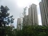 中远两湾城（一至四期）租房400元/月