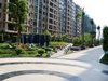 新都盛世名门租房500元/月