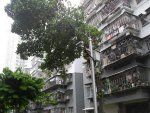 红荔村