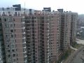 金石雅苑