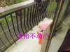 南昌路租房4300元/月