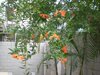 南岭花园租房1300元/月