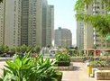 望京新城租房600元/月