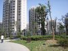 彩虹新城租房1500元/月
