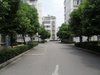 金山浜花园租房450元/月