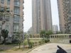 明发滨江新城租房200元/月
