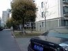 金都雅苑租房300元/月