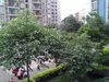 岭秀风景租房450元/月