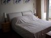 阳光花城租房1900元/月