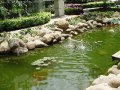 瞿溪新村