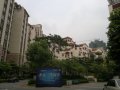 香樟绿洲