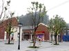 富力桃园租房3500元/月