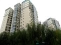 天通苑东一区租房299元/月