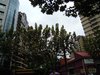 九龙盛汇(黄浦丽园)租房360元/月