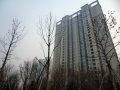华业玫瑰东方