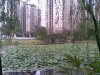 锦绣阳光花园租房2800元/月