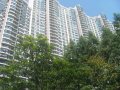 中远两湾城（一至四期）,中远两湾城租房1500元/月