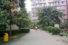 莲花四区租房1000元/月