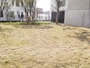 临港蓝色城邦租房500元/月