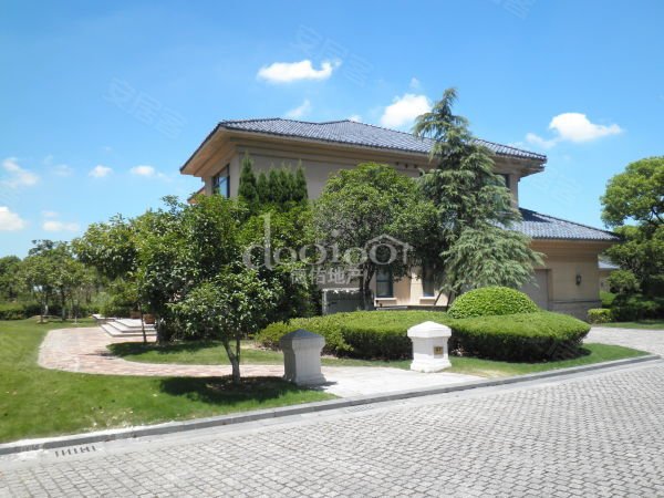 600x600.jpg