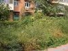 芳草地西街租房4300元/月