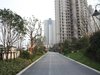 世茂运河城（一至三期）租房350元/月