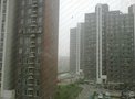 枣园尚城租房1300元/月