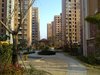 徐汇馨苑1租房500元/月