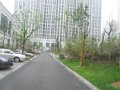 万达西地,租房1000元/月