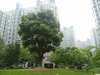 嘉宝都市港湾租房1000元/月