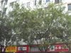 后宰门街25号租房2200元/月