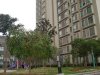 辰龙广场租房1800元/月