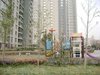旭日华庭金棕榈租房500元/月