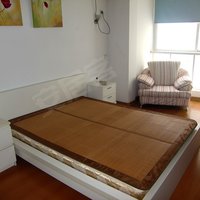 城站对面~西湖大道办公首选 超大客厅 商住两用