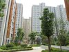 万达广场租房1100元/月