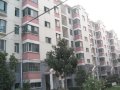 桥北新村
