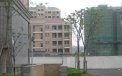 张江汤臣豪园三期,租房1600元/月