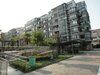 丽都国际租房500元/月